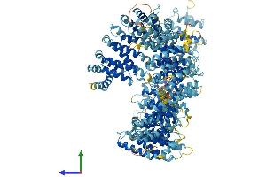 AlphaFold protein structure predicition of Human Recombinant URB2 Protein, UniprotID Q14146