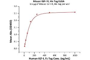 Immobilized Mouse IGF-I R, His Tag (ABIN6253206,ABIN6253548) at 5 μg/mL (100 μL/well) can bind Human IGF-I, Fc Tag (ABIN2181263,ABIN2181262) with a linear range of 0. (IGF1R Protein (AA 31-936) (His tag))