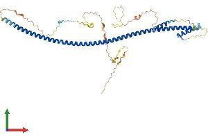 Protein Structure (PS) image for Basic Leucine Zipper Nuclear Factor 1 (BLZF1) (AA 1-400) protein (His tag) (ABIN7548090)