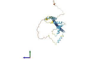 AlphaFold protein structure predicition of Human Recombinant CLTA Protein, UniprotID P09496 (CLTA Protein (AA 1-248) (His tag))