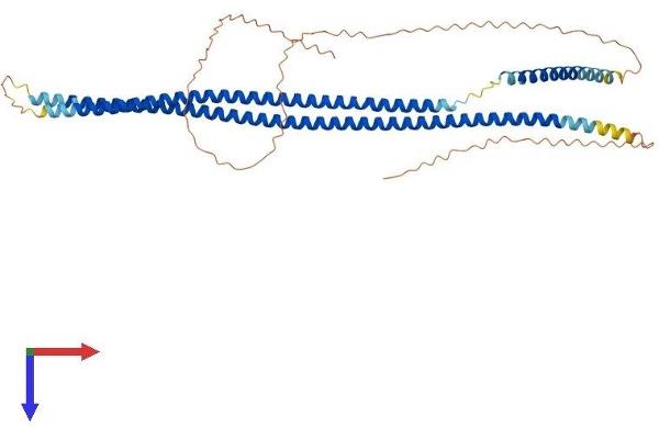 KRT16 Protein (AA 1-473) (His tag)
