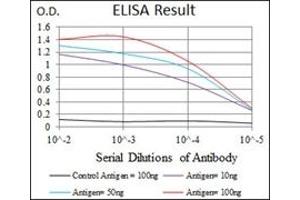 ELISA image for anti-BPI Fold Containing Family A, Member 2 (BPIFA2) antibody (ABIN1109128) (BPIFA2 antibody)