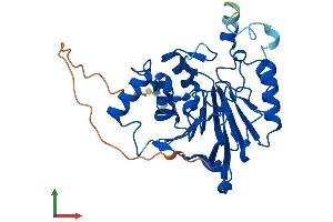 Protein Structure (PS) image for metallophosphoesterase Domain Containing 1 (MPPED1) (AA 1-326) protein (His tag) (ABIN7560146)