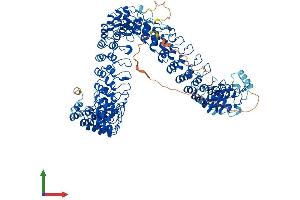 AlphaFold protein structure predicition of Mouse Recombinant Ankrd28 Protein, UniprotID Q505D1 (ANKRD28 Protein (AA 1-1053) (His tag))