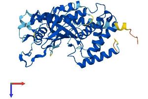 AlphaFold protein structure predicition of Human Recombinant MAB21L3 Protein, UniprotID Q8N8X9 (MAB21L3 Protein (AA 1-362) (His tag))