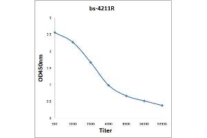 Cullin 3 antibody  (AA 411-510)