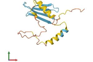 AlphaFold protein structure predicition of Human Recombinant PMS2P5 Protein, UniprotID A8MQ11 (PMS2L5 Protein (AA 1-134) (His tag))