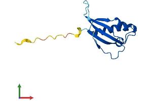 AlphaFold protein structure predicition of Mouse Recombinant Rpl31 Protein, UniprotID P62900 (RPL31 Protein (AA 1-125) (His tag))