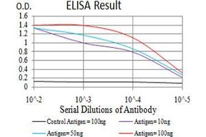 Black line: Control Antigen (100 ng), Purple line: Antigen(10 ng), Blue line: Antigen (50 ng), Red line: Antigen (100 ng), (ATG14 antibody  (AA 43-303))