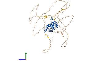 Protein Structure (PS) image for Paired Box 1 (PAX1) (AA 1-534) protein (His tag) (ABIN7550632)