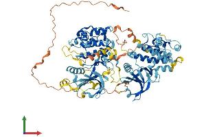 Protein Structure (PS) image for Ribosomal Protein S6 Kinase, 90kDa, Polypeptide 6 (RPS6KA6) (AA 1-745) protein (His tag) (ABIN7548999)