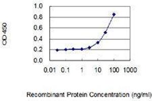 Detection limit for recombinant GST tagged TRPV4 is 1 ng/ml as a capture antibody. (TRPV4 antibody  (AA 772-871))
