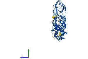 AlphaFold protein structure predicition of Human Recombinant KCTD9 Protein, UniprotID Q7L273