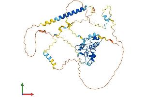 AlphaFold protein structure predicition of Mouse Recombinant Cdca7l Protein, UniprotID Q922M5 (CDCA7L Protein (AA 1-438) (His tag))