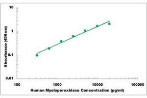 Representative Standard Curve (Myeloperoxidase ELISA Kit)