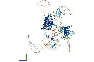 AlphaFold protein structure predicition of Mouse Recombinant Arhgap27 Protein, UniprotID A2AB59 (ARHGAP27 Protein (AA 1-869) (His tag))