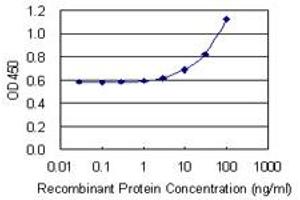 Detection limit for recombinant GST tagged HMHA1 is 1 ng/ml as a capture antibody. (HMHA1 antibody  (AA 91-190))
