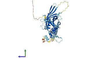 AlphaFold protein structure predicition of Mouse Recombinant Fbxo9 Protein, UniprotID Q8BK06
