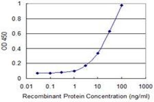 Detection limit for recombinant GST tagged KCNMB3 is 1 ng/ml as a capture antibody. (KCNMB3 antibody  (AA 82-181))