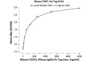 Immobilized Mouse TIGIT, His Tag (ABIN4949190,ABIN4949191) at 5 μg/mL (100 μL/well) can bind Mouse CD155, Mouse IgG2a Fc Tag (ABIN5674647,ABIN6809987) with a linear range of 20-625 ng/mL (QC tested). (TIGIT Protein (AA 26-143) (His tag))