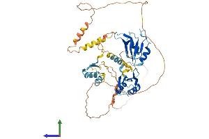 AlphaFold protein structure predicition of Human Recombinant CELF4 Protein, UniprotID Q9BZC1 (CELF4 Protein (AA 1-486) (His tag))