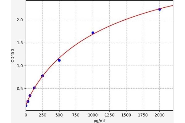 Cathepsin L2 ELISA Kit