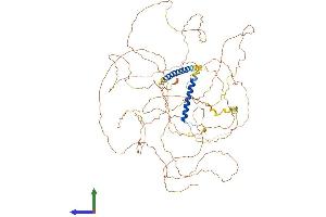 AlphaFold protein structure predicition of Human Recombinant CCSER2 Protein, UniprotID Q9H7U1 (FAM190B Protein (AA 1-834) (His tag))