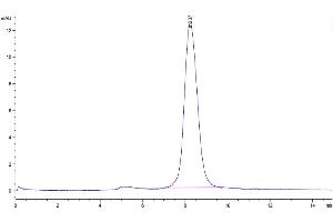 The purity of Human EpCAM is greater than 95 % as determined by SEC-HPLC. (EpCAM Protein (AA 24-265) (His tag))