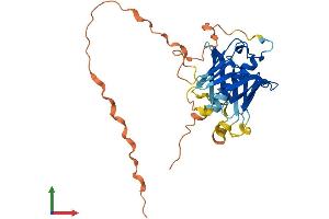 AlphaFold protein structure predicition of Mouse Recombinant Plscr3 Protein, UniprotID Q9JIZ9