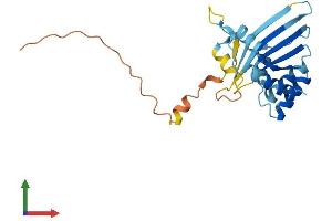 Protein Structure (PS) image for Apolipoprotein B mRNA Editing Enzyme, Catalytic Polypeptide-Like 2 (APOBEC2) (AA 1-224) protein (His tag) (ABIN7556301)