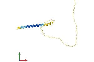 AlphaFold protein structure predicition of Human Recombinant HRCT1 Protein, UniprotID Q6UXD1 (HRCT1 Protein (AA 1-115) (His tag))