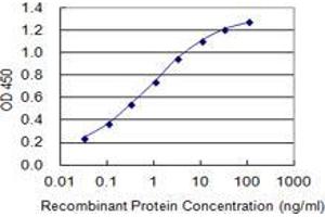 Detection limit for recombinant GST tagged LASS1 is 0. (LASS1 antibody  (AA 301-350))