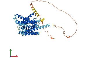 AlphaFold protein structure predicition of Human Recombinant SLC35D3 Protein, UniprotID Q5M8T2 (SLC35D3 Protein (AA 1-416) (His tag))