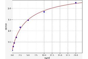 PRKACB ELISA Kit