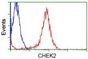 Flow Cytometry (FACS) image for anti-Checkpoint Kinase 2 (CHEK2) antibody (ABIN1497500) (CHEK2 antibody)