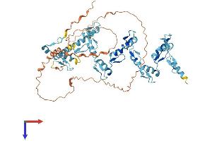 Zinc Finger Protein 417 (ZNF417) (AA 1-575) protein (His tag)