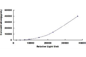 ELISA image for Intercellular Adhesion Molecule 1 (ICAM1) CLIA Kit (ABIN492064)