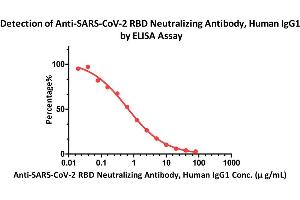 Neutralization (Neut) image for anti-SARS-CoV-2 Spike S1 (RBD) antibody (ABIN6952616)