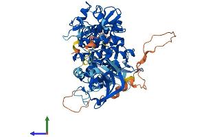 AlphaFold protein structure predicition of Mouse Recombinant Syk Protein, UniprotID P48025 (SYK Protein (AA 1-629) (His tag))