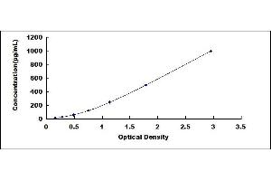 Typical standard curve (Iba1 ELISA Kit)