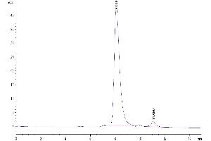 The purity of Mouse CD40 is greater than 95 % as determined by SEC-HPLC. (CD40 Protein (CD40) (AA 24-193) (His tag))