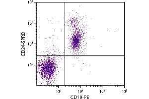 BALB/c mouse splenocytes were stained with Rat Anti-Mouse CD24-SPRD. (CD24 antibody  (SPRD))