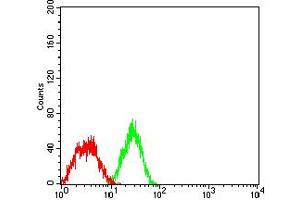 Flow cytometric analysis of HT1080 cells using CD49B mouse mAb (green) and negative control (red). (ITGA2 antibody  (AA 994-1132))