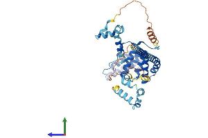 AlphaFold protein structure predicition of Mouse Recombinant St13 Protein, UniprotID Q99L47