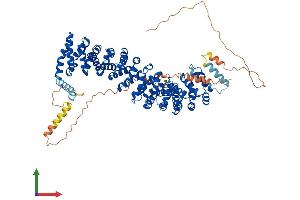 Protein Structure (PS) image for Junction Plakoglobin (JUP) (AA 1-745) protein (His tag) (ABIN7554977)