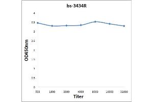 Antigen: 0. (SYK antibody  (pTyr525, pTyr526))