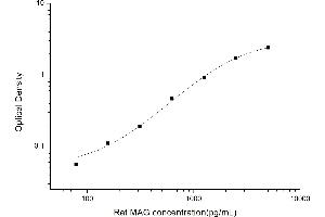 Myelin Associated Glycoprotein (MAG) ELISA Kit