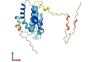 AlphaFold protein structure predicition of Human Recombinant TUBA4B Protein, UniprotID Q9H853 (TUBA4B Protein (AA 1-241) (His tag))