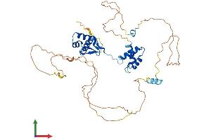 Protein Structure (PS) image for Paired Box Gene 2a (PAX2A) (AA 1-417) protein (His tag) (ABIN7550554)