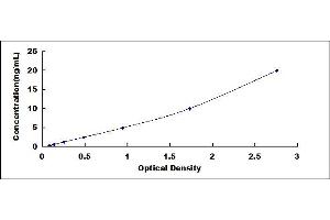 Histidine Triad Nucleotide Binding Protein 1 (HINT1) ELISA Kit